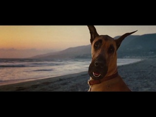 marmaduke (2010)