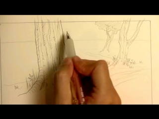 how to draw a forest