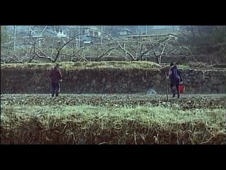 a lonely cow weeps at dawn / chikan gifu: musuko no yome to... (2003)